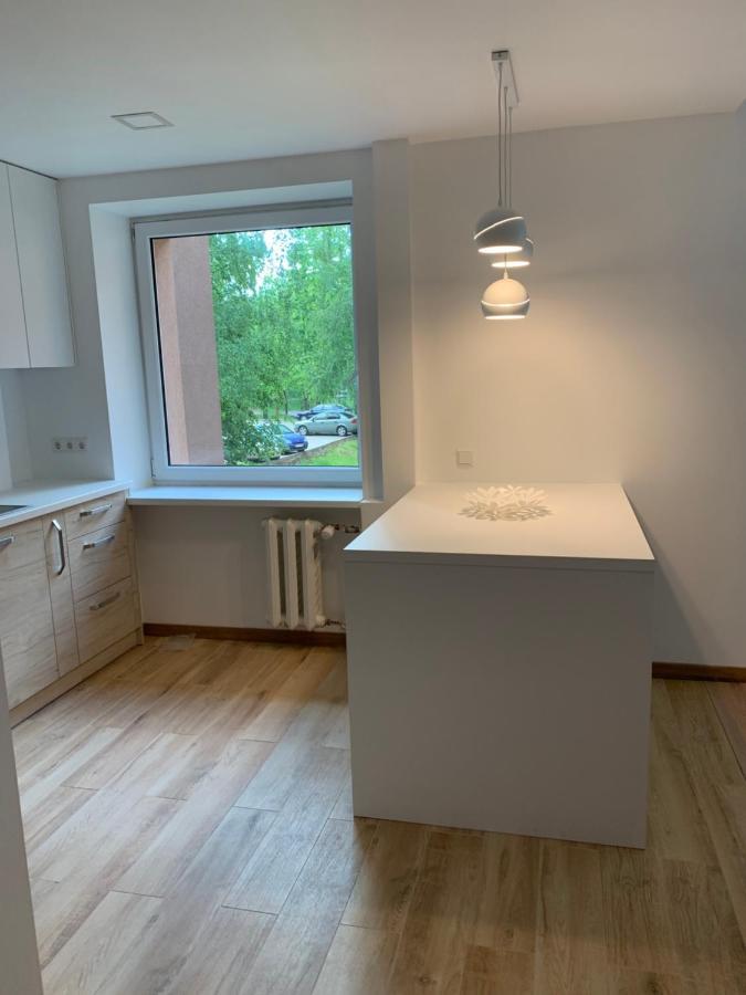 Alytus Apartament Bagian luar foto