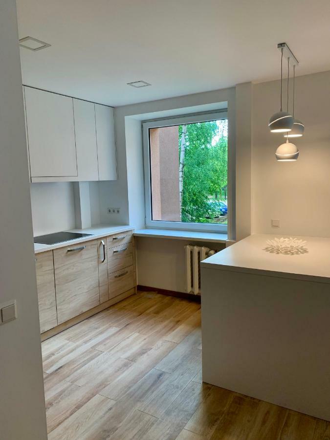 Alytus Apartament Bagian luar foto